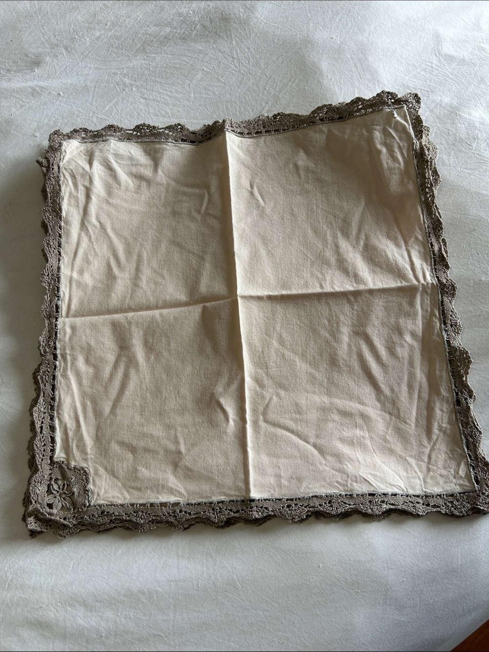 Handmade 6 Cream Lace-Trim Napkin - Unbranded